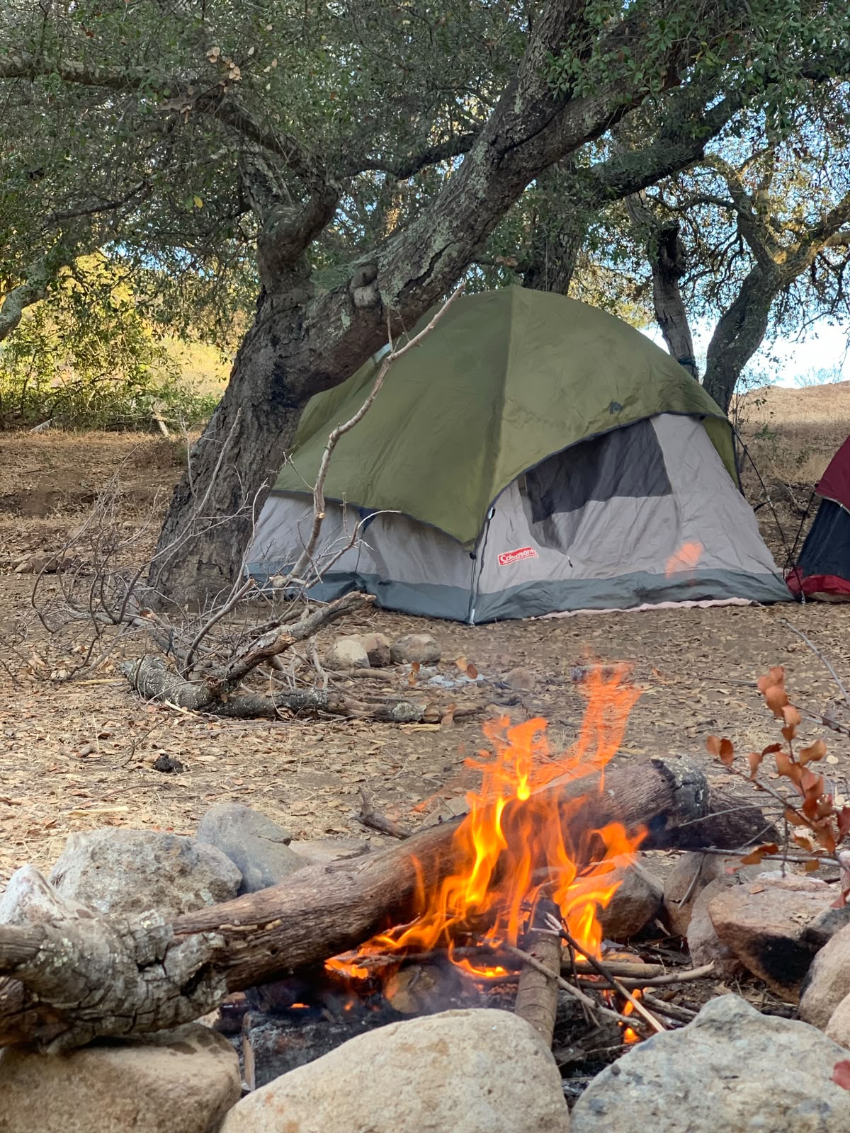 Camping